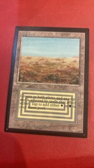 Scrubland - Collector Edition NM (#240804)